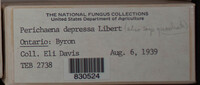 Image Associated With the Occurence